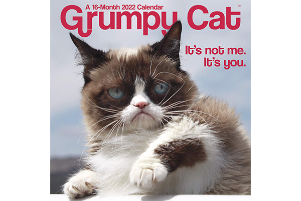 Grumpy Cat 不爽猫