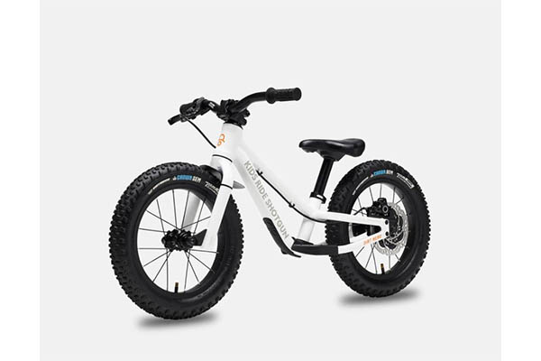 KIDS RIDE SHOTGUN BIKE SEAT 儿童自行车座椅