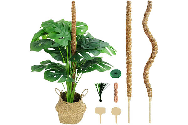 Bendable moss pole assembly 可弯曲的苔藓杆